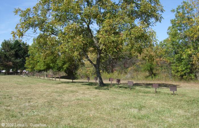 Potter's Field Cemetery, Marysville, Ohio